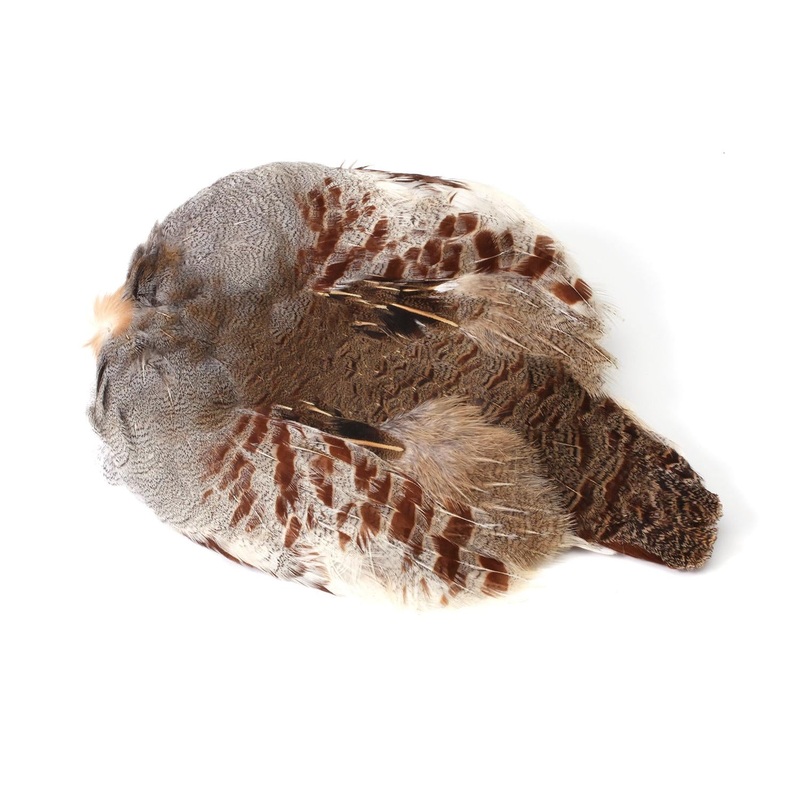 Hungarian Partridge Skin|NATURAL|SKIN