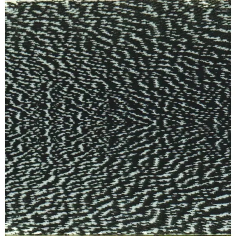 Thin Skin Mottled Bust|BLACK|BUS NATU|BUS YELL|ORANGE