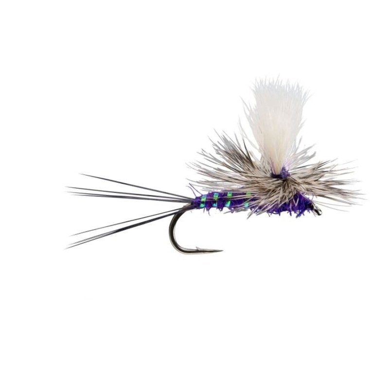 RIO’s Para Wulff Purple // Dry Fly