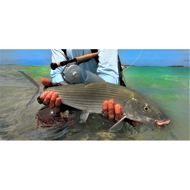 Top 12 Bonefish Flies // Deadly Dozen Assortment