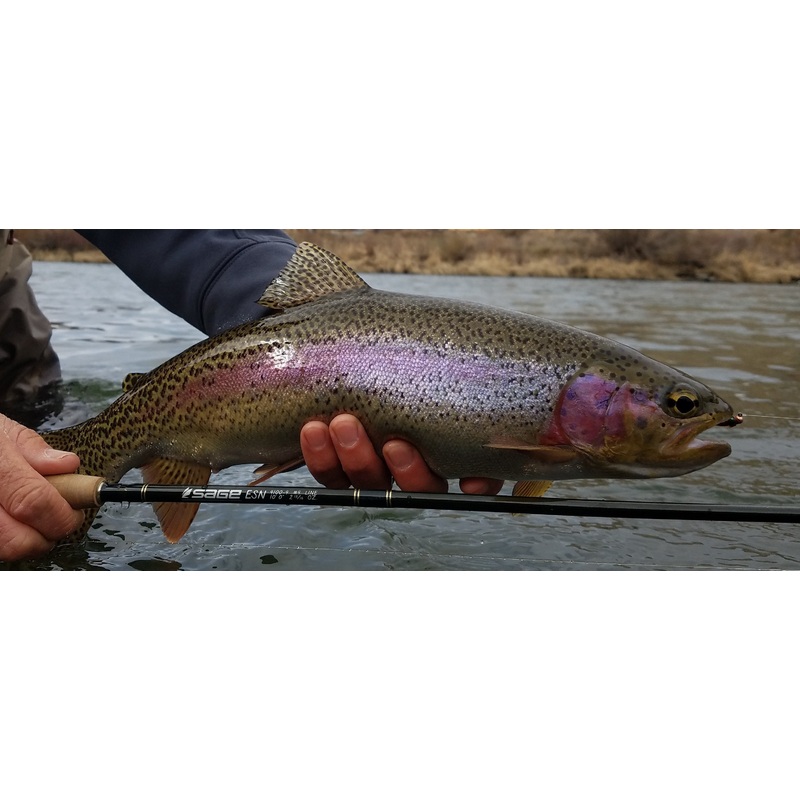 Top 12 Euro Nymphs // Deadly Dozen Assortment