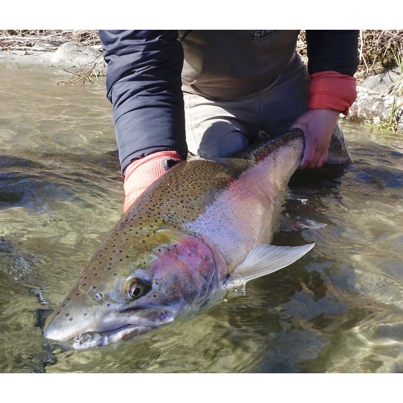 Top 12 Swinging Flies for Steelhead // Deadly Dozen Assortment