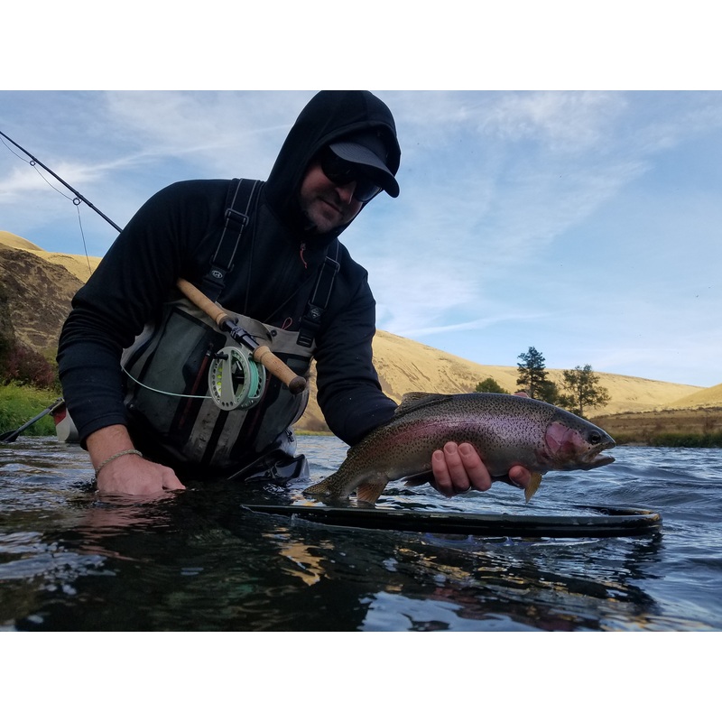 Top 12 Trout Spey Flies // Deadly Dozen Assortment
