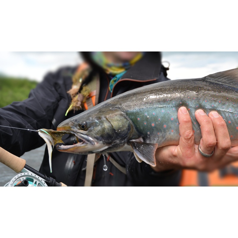 Top 12 Trout Streamers // Deadly Dozen Assortment