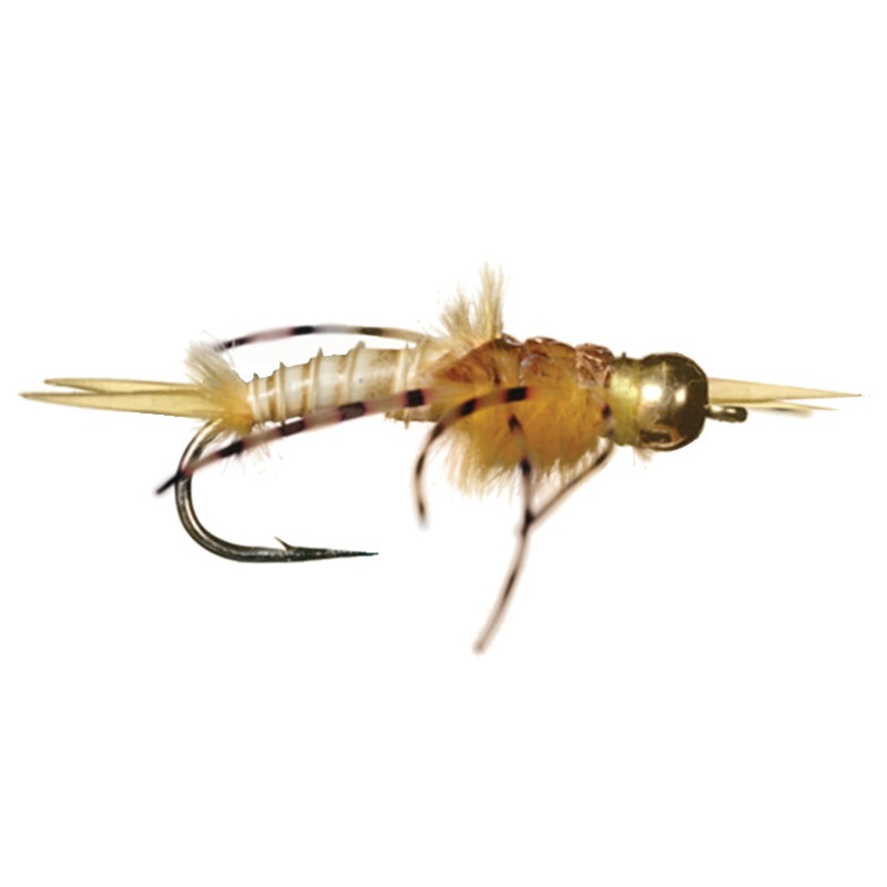 Golden Stone // Tungsten Stonefly Nymph by Solitude