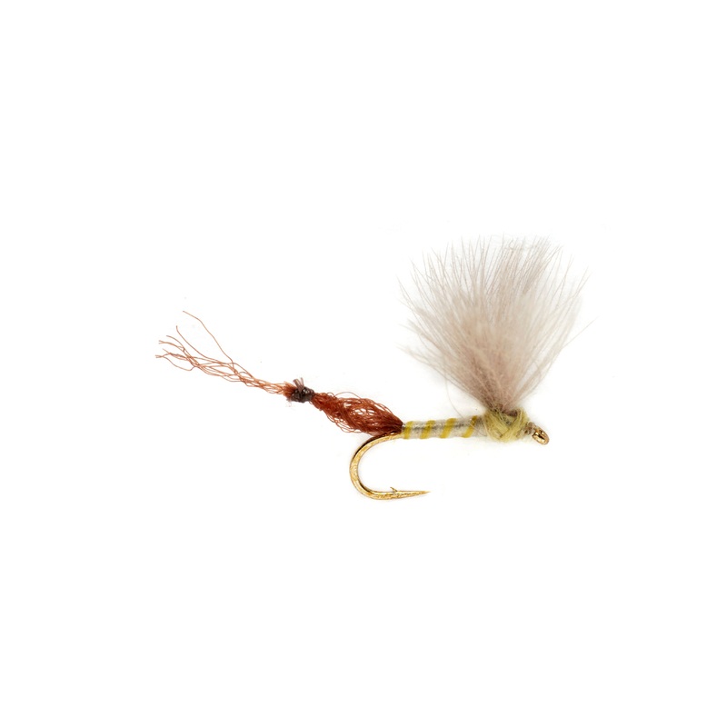 Riffle Robber by Fulling Mill // Mayfly Dry Fly