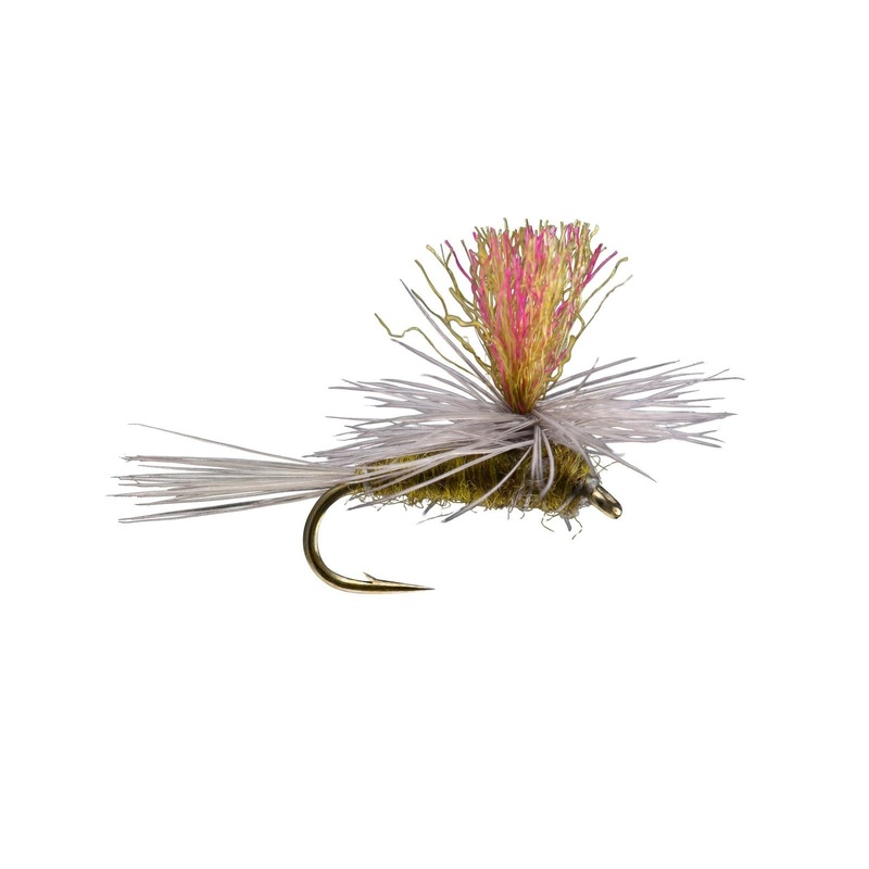 RIO’s Hi Vis Parachute BWO||16||18||20