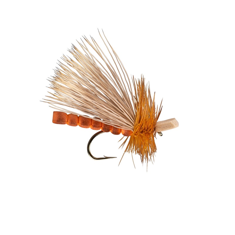 RIO’s Morrish October Caddis Adult