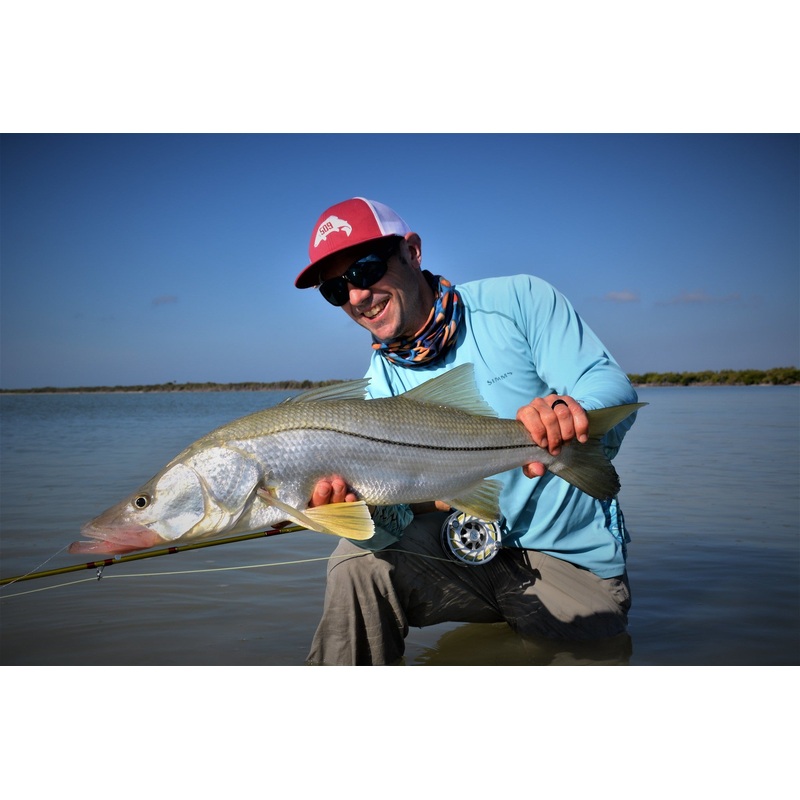 Top 12 Snook Flies // Deadly Dozen Assortment