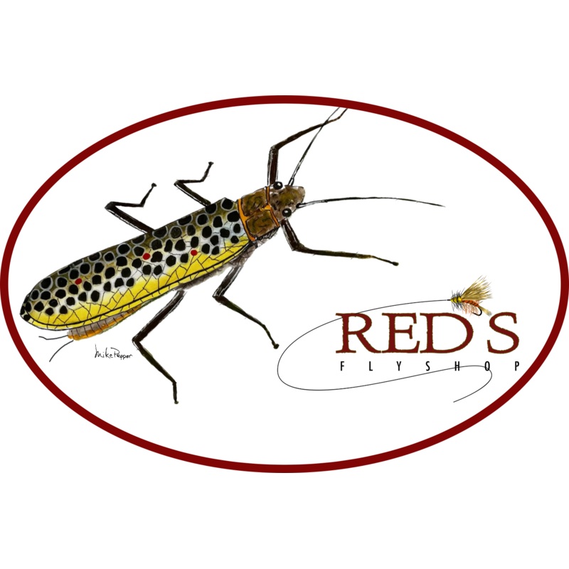 Brown Trout Stonefly // 5 Red’s Fly Shop Sticker