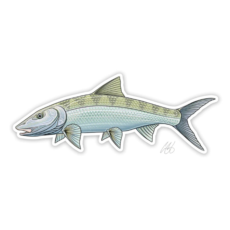 Casey Underwood Bonefish Decal