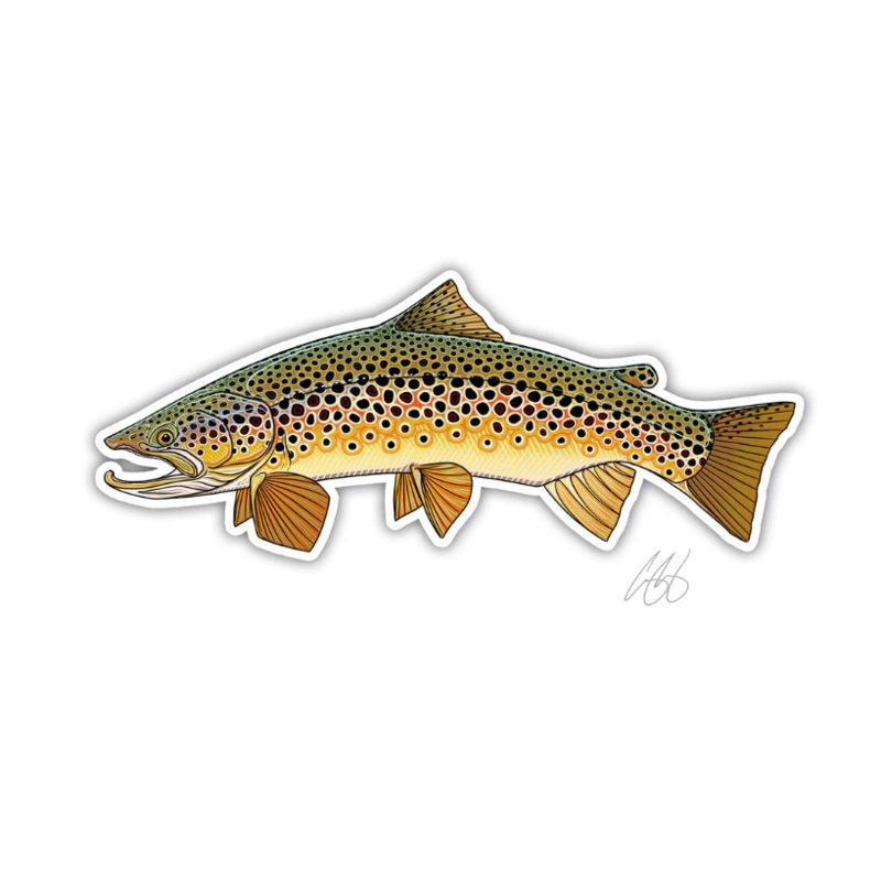 Casey Underwood Brown Trout Decal