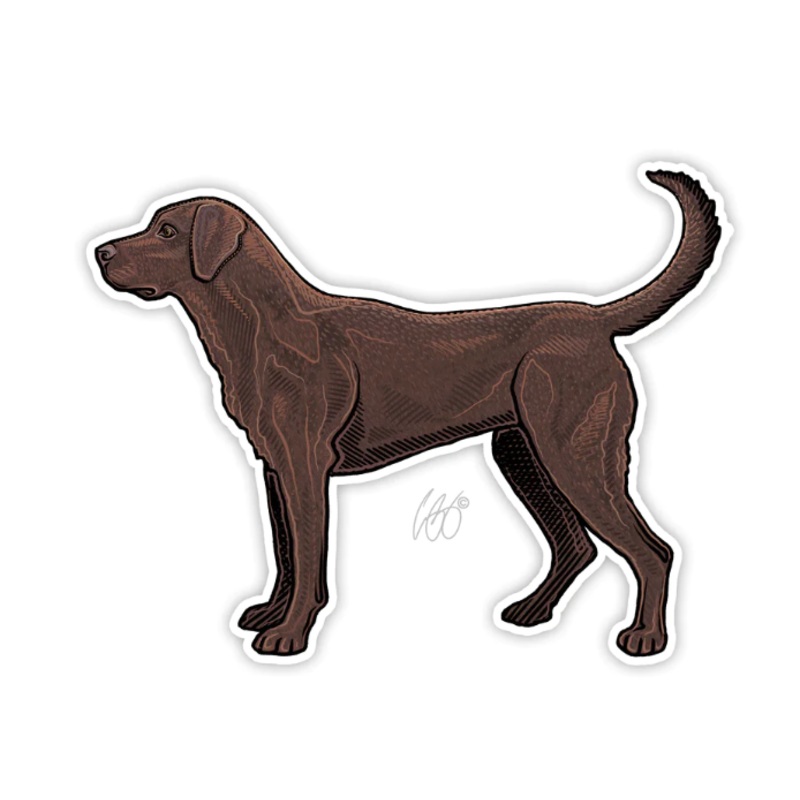 Casey Underwood Chocolate Lab Decal