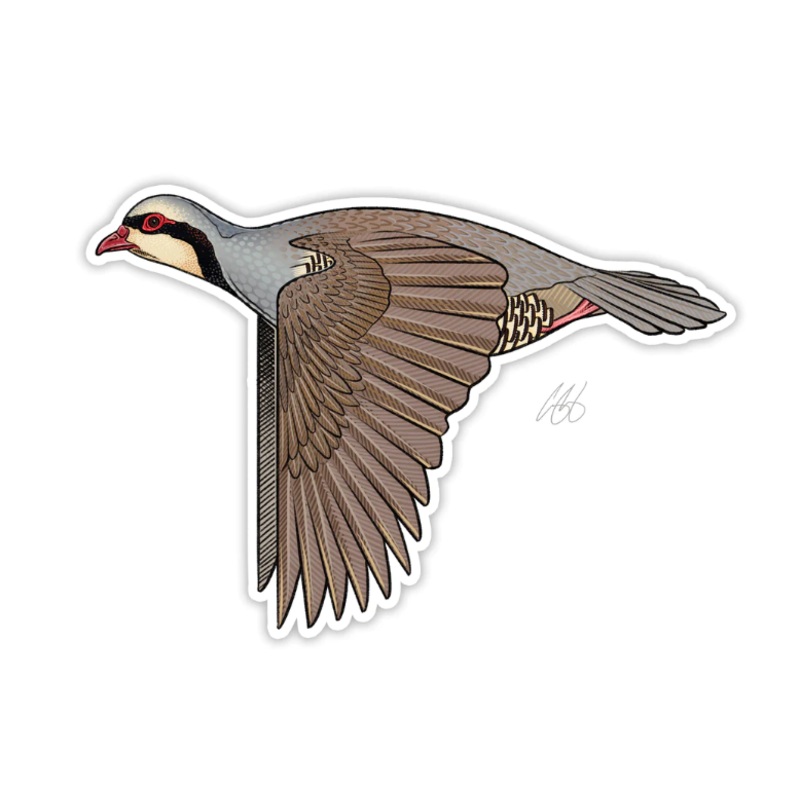 Casey Underwood Chukar Decal
