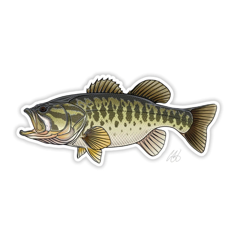 Casey Underwood Largemouth Bass Decal
