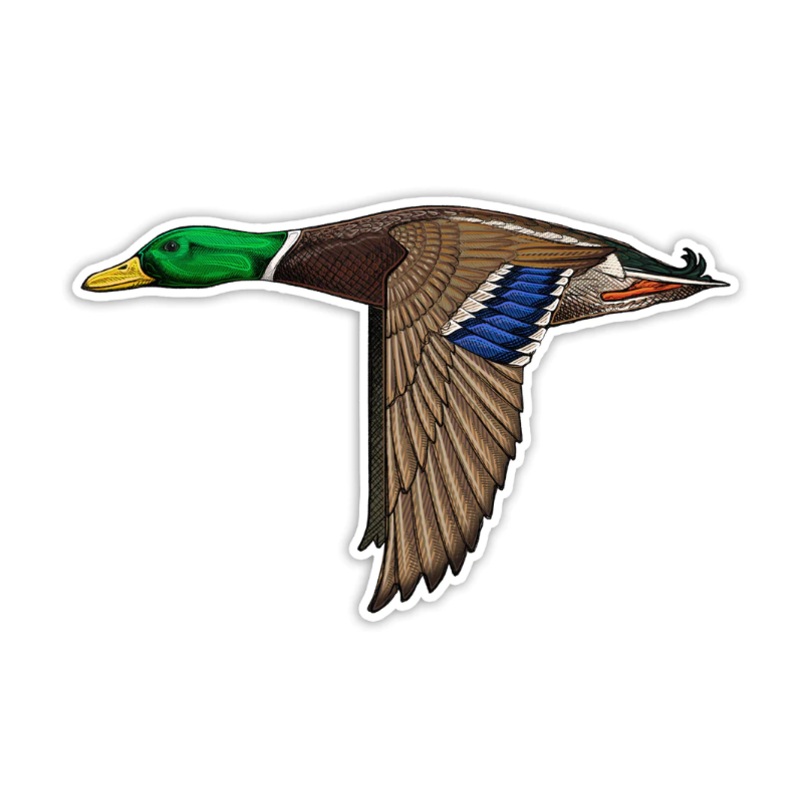 Casey Underwood Mallard Decal