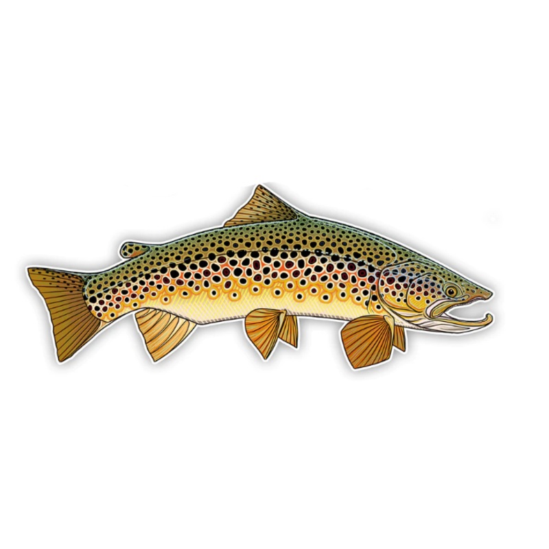 Casey Underwood Oversized Brown Trout Decal