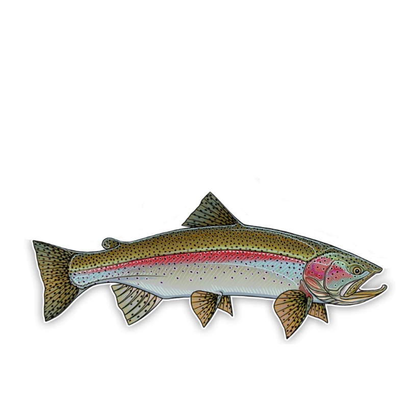Casey Underwood Oversized Rainbow Trout Decal