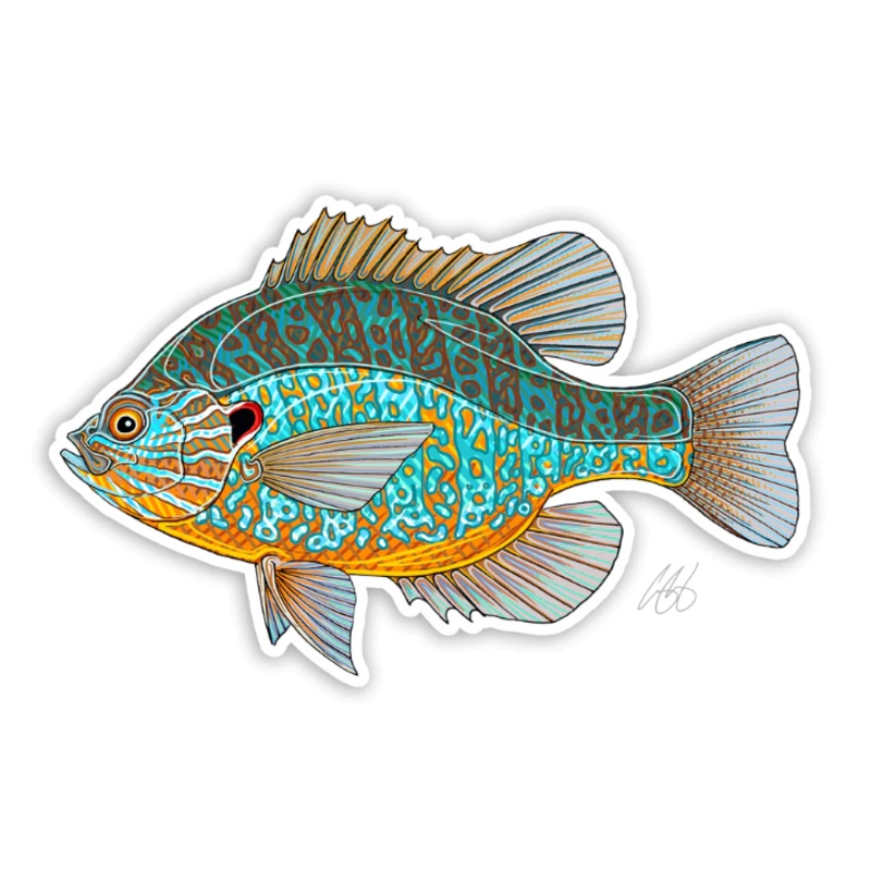 Casey Underwood Pumpkin Seed Decal