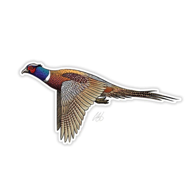 Casey Underwood Ringneck Pheasant Decal