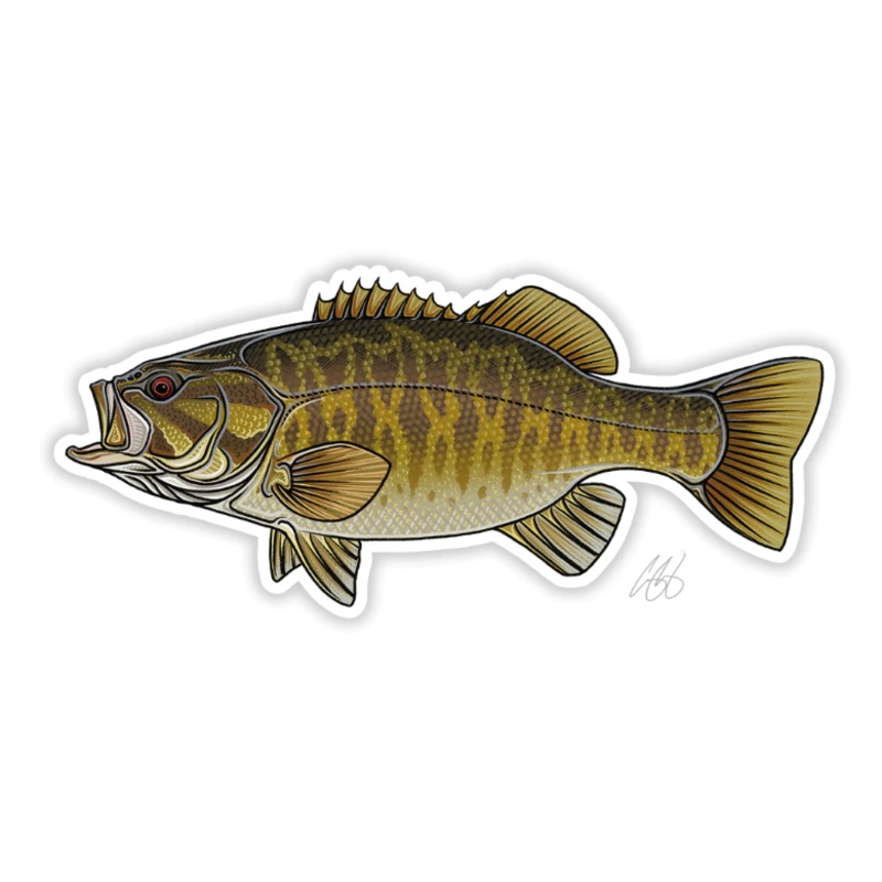 Casey Underwood Smallmouth Bass Decal