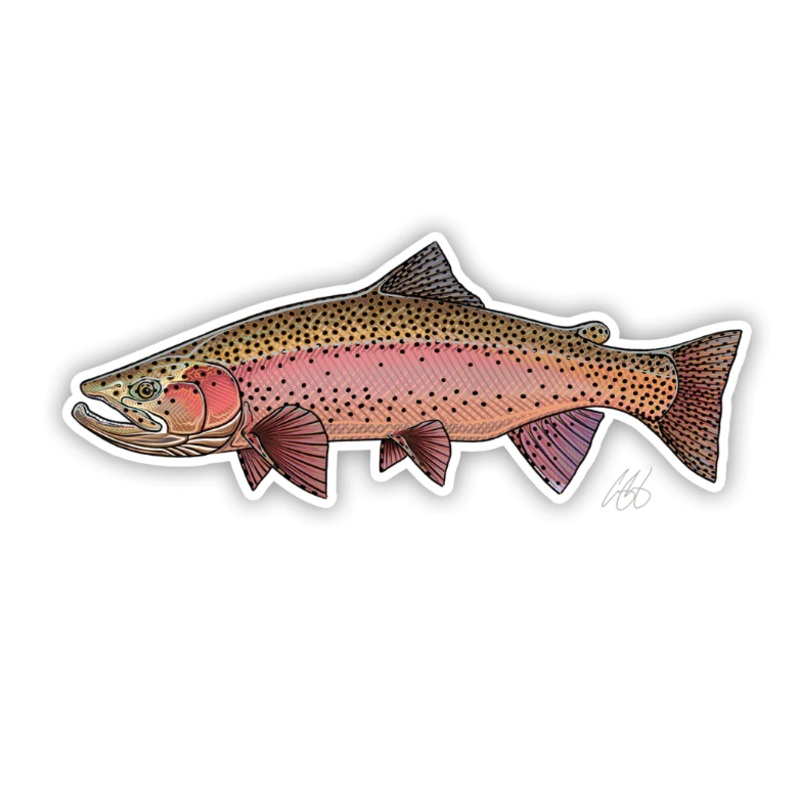 Casey Underwood Spring Rainbow Decal
