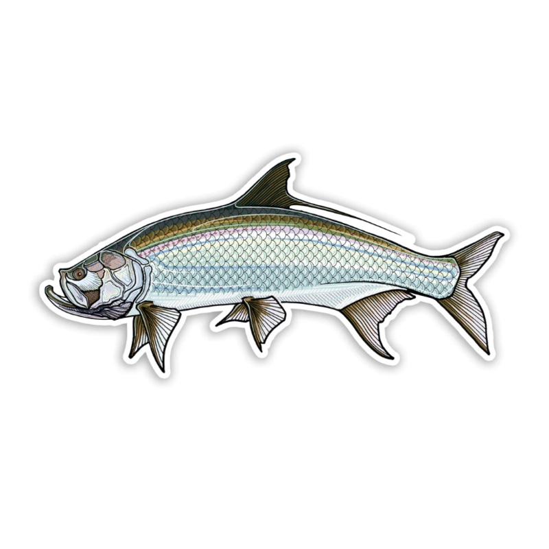 Casey Underwood Tarpon Decal