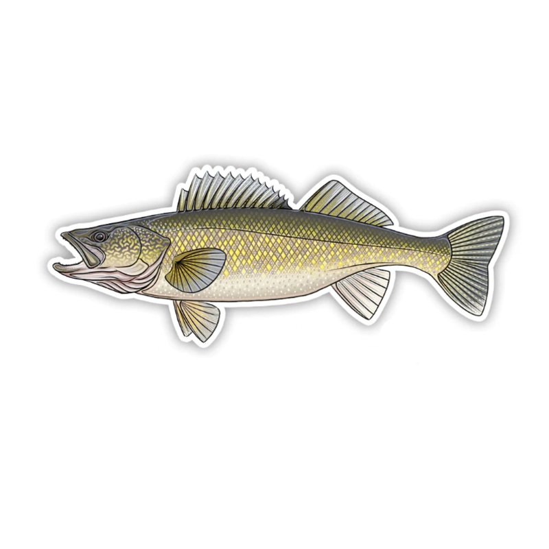 Casey Underwood Walleye Decal