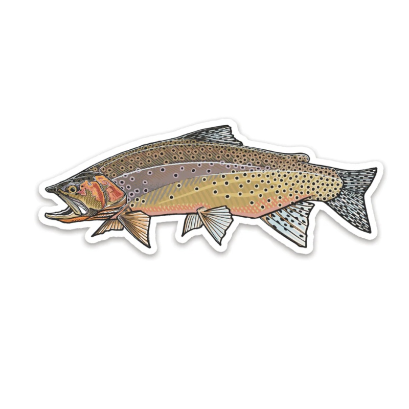 Casey Underwood Westslope Cutthroat Decal