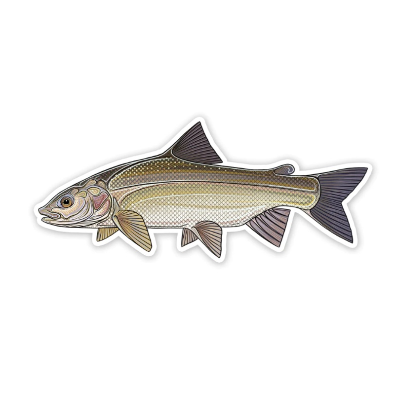 Casey Underwood Whitefish Decal