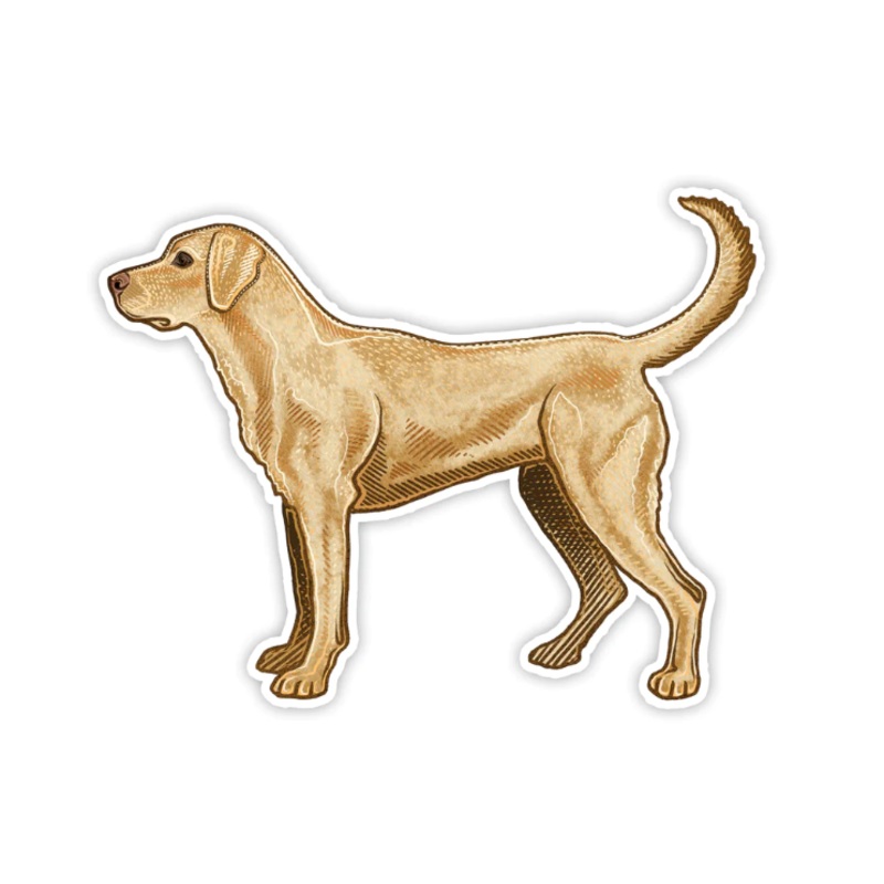 Casey Underwood Yellow Lab Decal