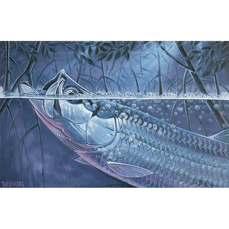DeYoung Moonlit Mangroves Canvas Print