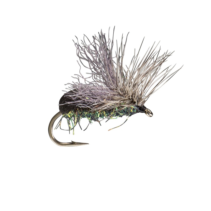 RIO’s King Splitsville Beetle|Black||12