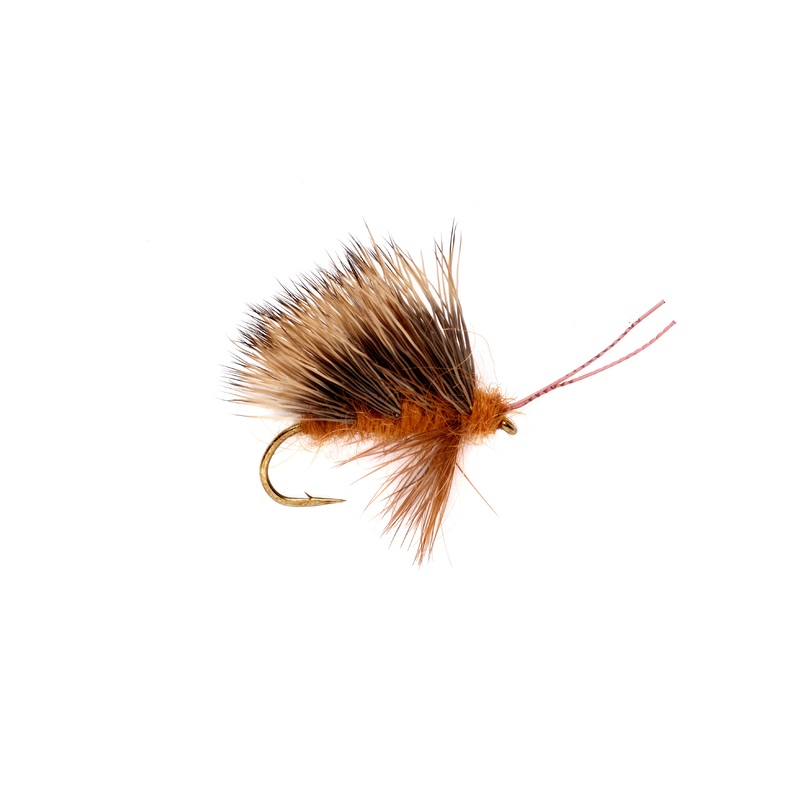 Sedgeback October Caddis by Fulling Mill