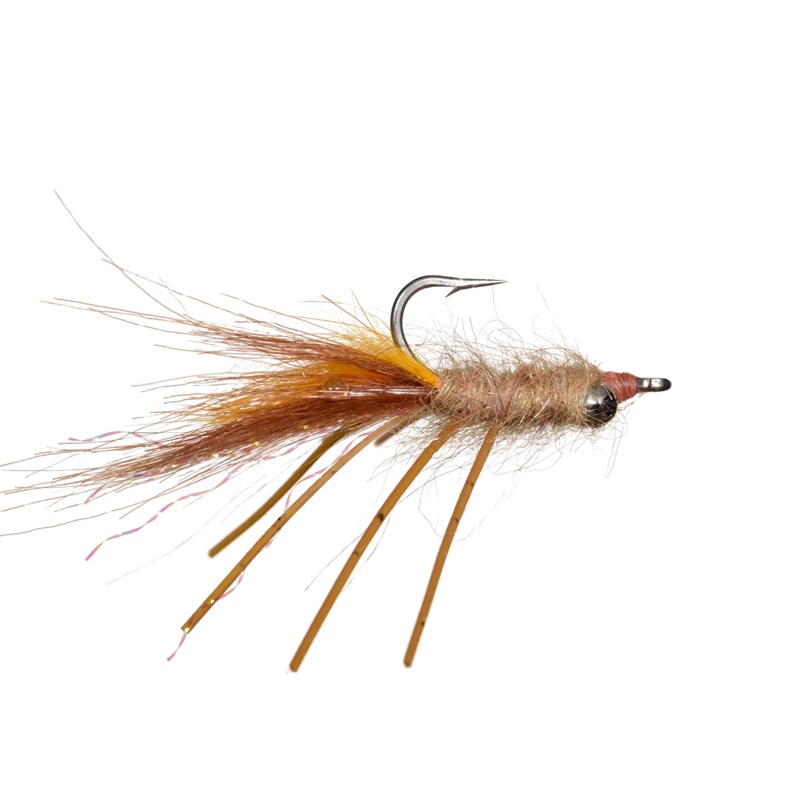 Spawning Mantis by Solitude||4||6||8