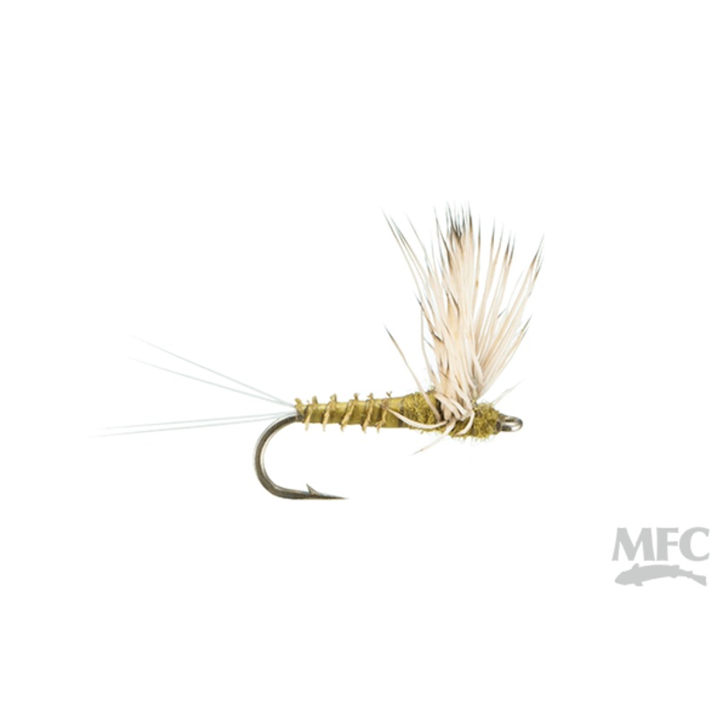 Comparadun BWO By Montana Fly Company