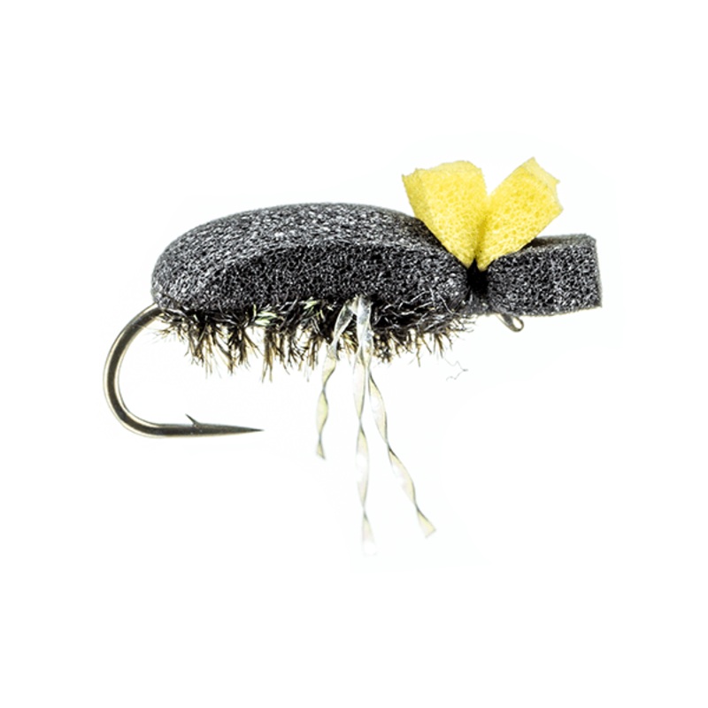 Foam Beetle by Montana Fly Company