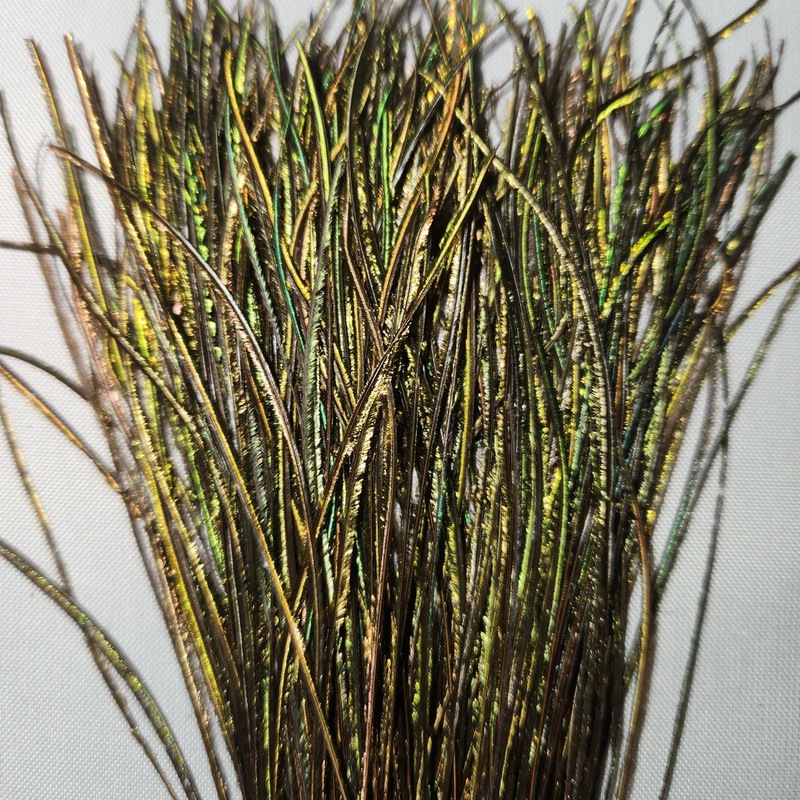 Peacock Strung Hurl By Nature’s Spirit