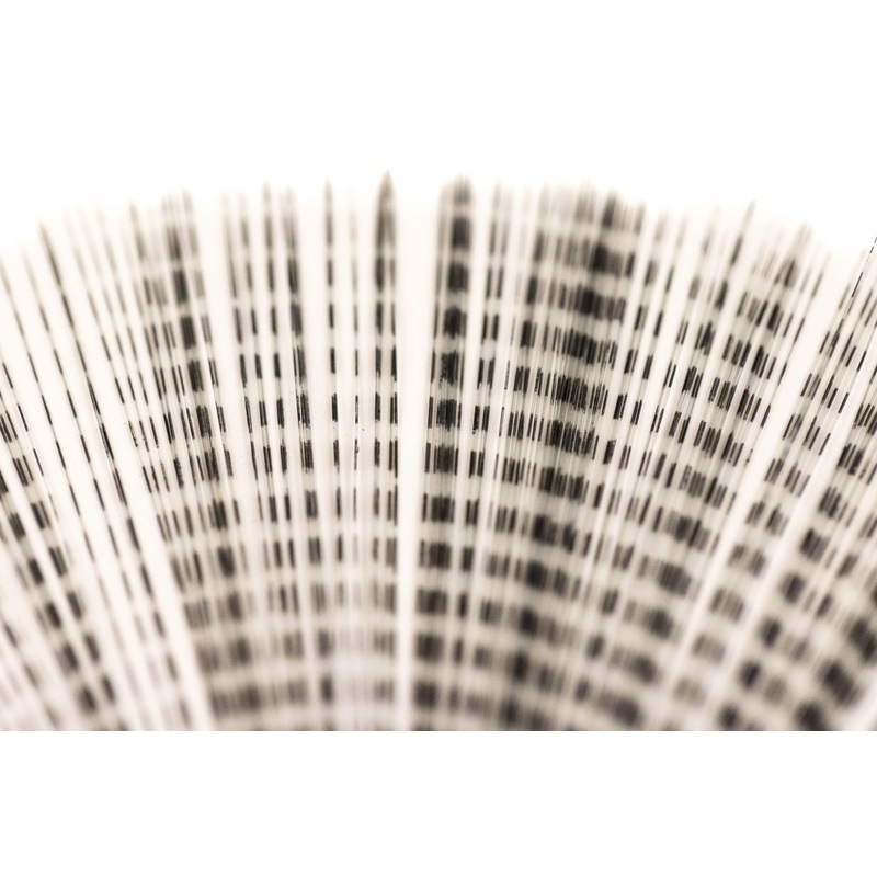 Hareline Barred Mayfly Tail|White Black Barred|Lt Dun Black Barred