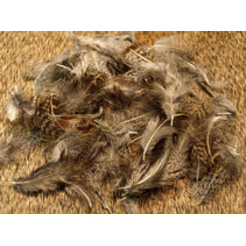 Natures Spirit Premium Partridge