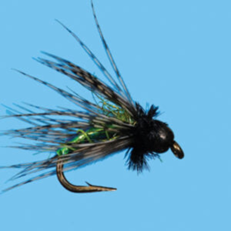 Tungsten G6 Caddis||14||16|Olive