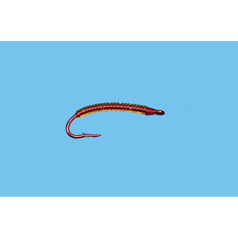 Worm Annalid||16||18