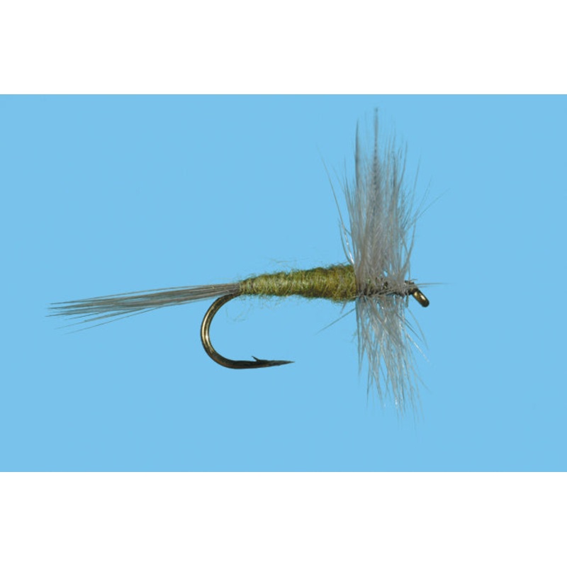 Blue Wing Olive||14||16||18||20