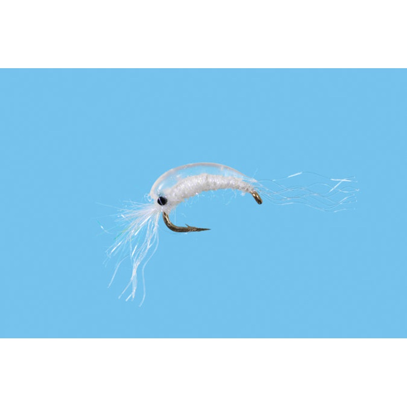 BTS Mysis Shrimp||18||20