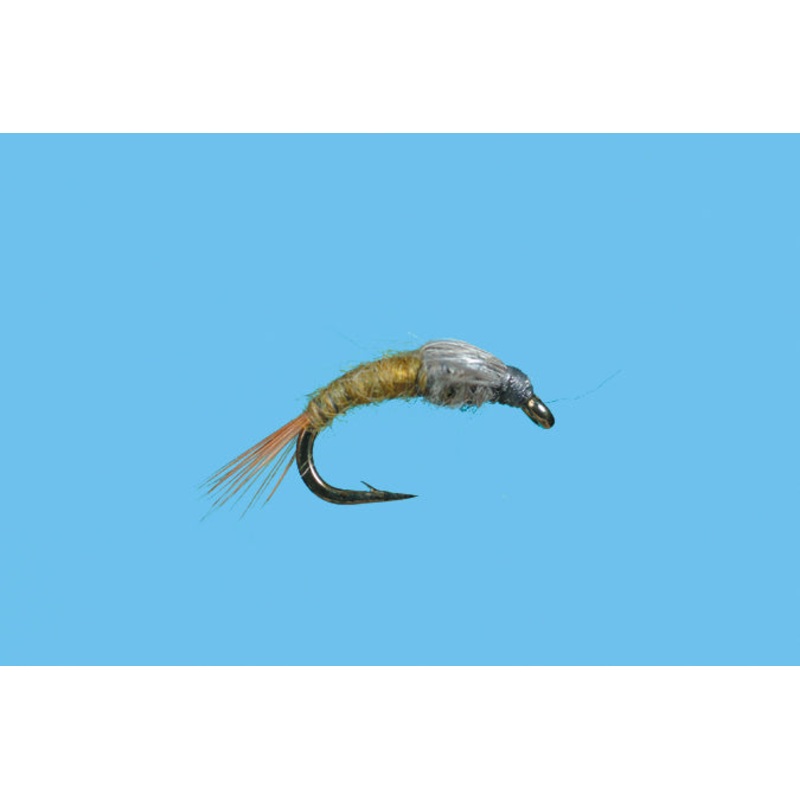 CDC Case BWO Emerger||18||20