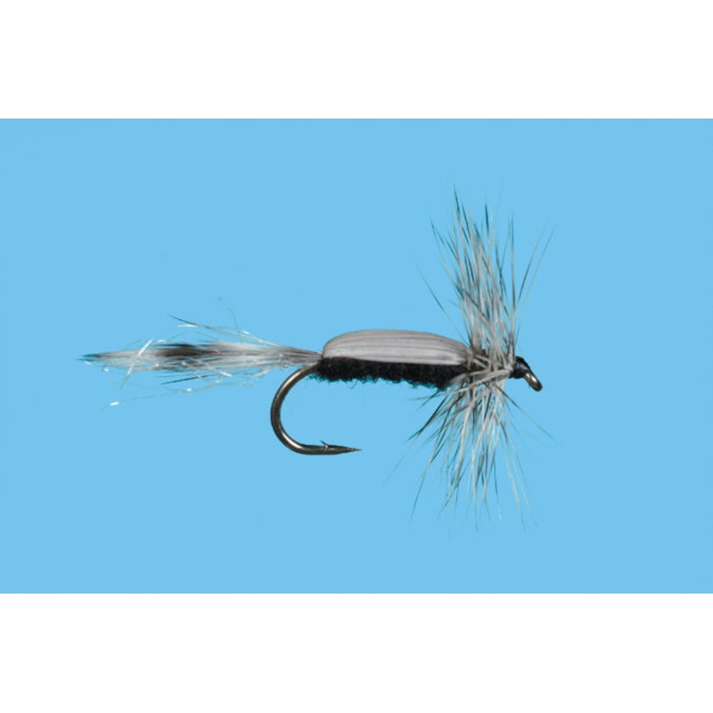 Chironomid Adult||14