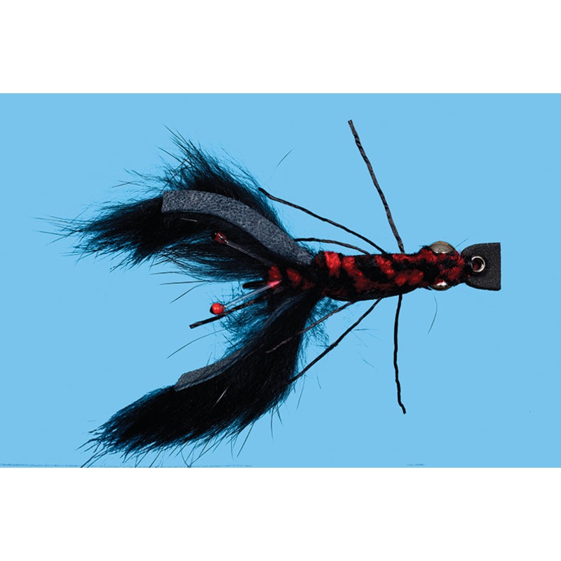 Crayfish Bunny||4|Black
