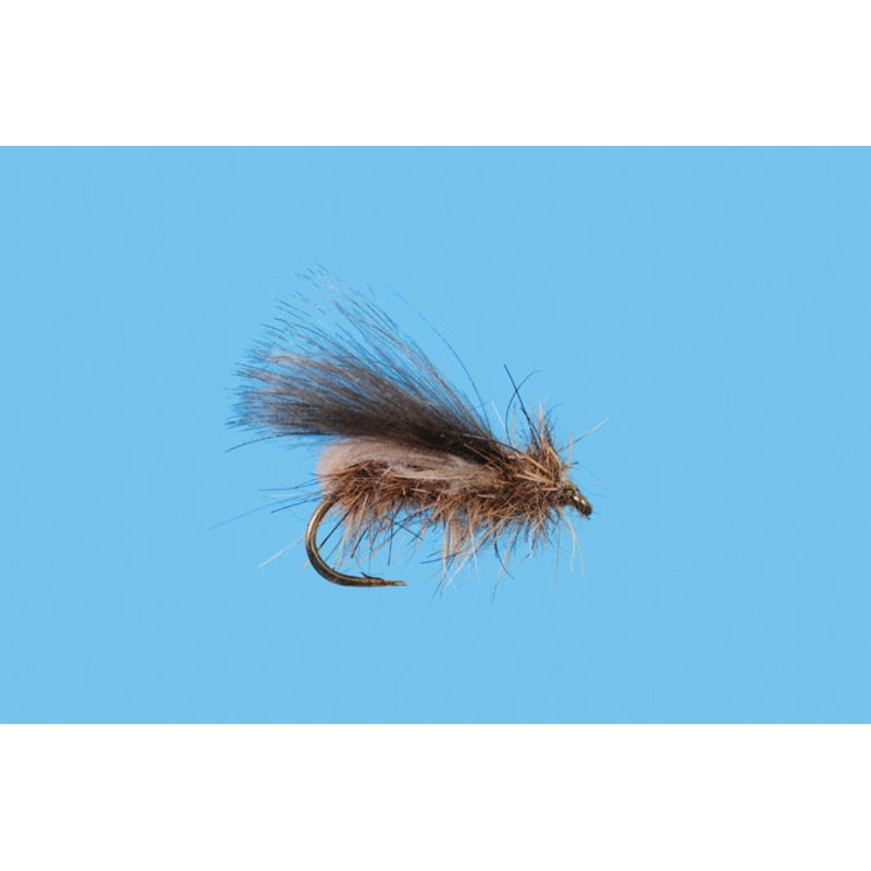 Double Duck Caddis||14||16||18