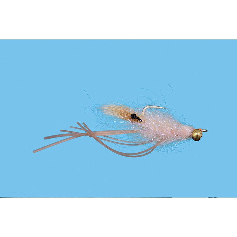 Ghost Rider Shrimp||4||6