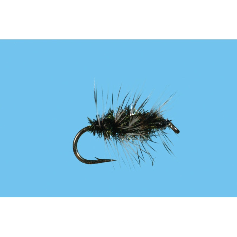 Griffith Gnat||16||18||20